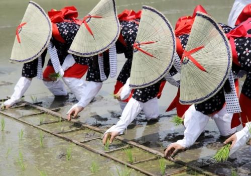 Bạn có biết đến lễ hội Hirosa của Nhật Bản?
