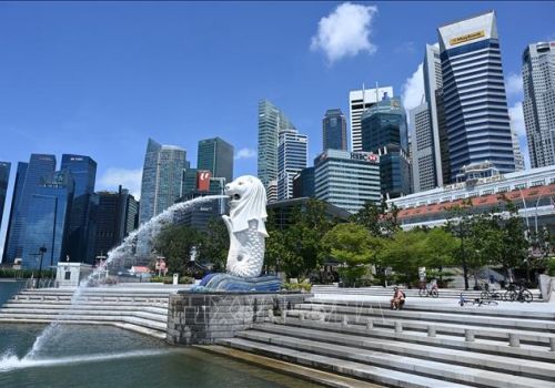 Từ A - Z quy trình tham gia đơn hàng Singapore mới nhất 2022