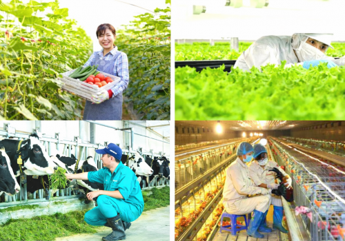 KINH NGHIỆM PHỎNG VẤN ĐƠN HÀNG XUẤT KHẨU LAO ĐỘNG: BÍ QUYẾT TĂNG TỶ LỆ TRÚNG TUYỂN