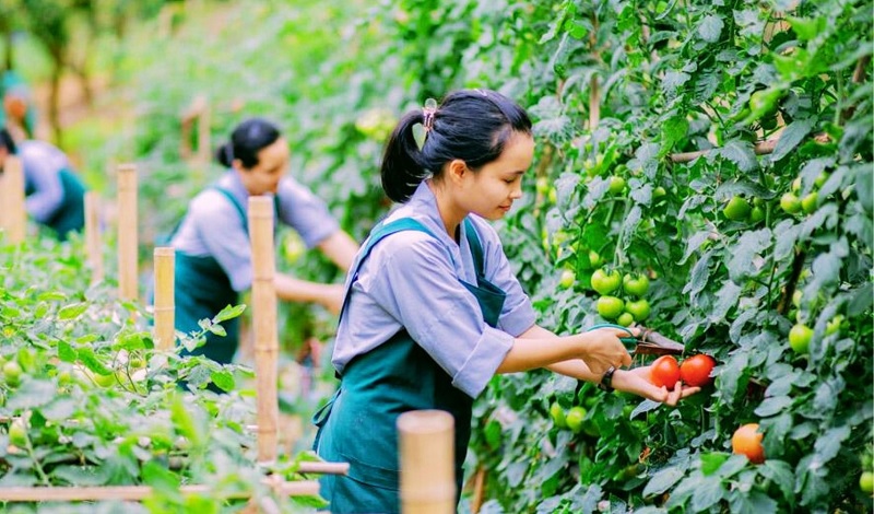 don-hang-nong-nghiep-nhat-ban